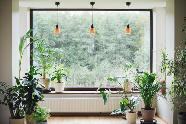 Keep Nature Close To You – Create Your Home Jungle
